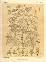  no thumbnail available