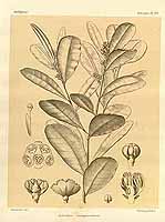  no thumbnail available