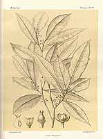  no thumbnail available