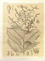  no thumbnail available