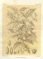  no thumbnail available