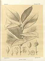  no thumbnail available