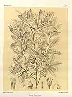  no thumbnail available