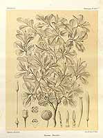  no thumbnail available