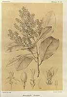  no thumbnail available