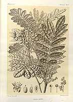  no thumbnail available