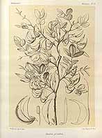  no thumbnail available