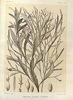  no thumbnail available