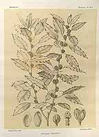  no thumbnail available