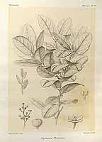  no thumbnail available