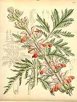  no thumbnail available