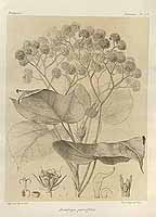  no thumbnail available