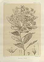  no thumbnail available