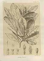  no thumbnail available