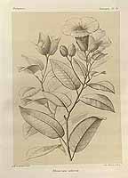  no thumbnail available