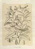  no thumbnail available