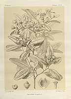  no thumbnail available