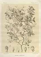  no thumbnail available