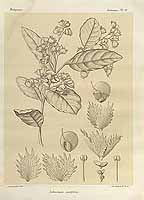  no thumbnail available