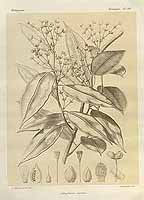  no thumbnail available