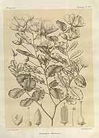  no thumbnail available