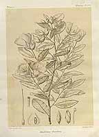  no thumbnail available