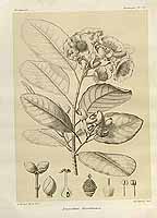  no thumbnail available