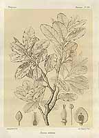  no thumbnail available