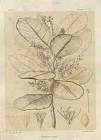  no thumbnail available