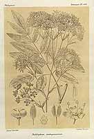  no thumbnail available