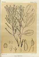  no thumbnail available