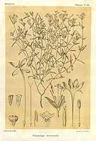  no thumbnail available