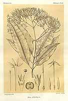  no thumbnail available