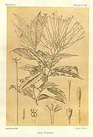  no thumbnail available