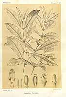  no thumbnail available