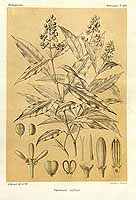  no thumbnail available