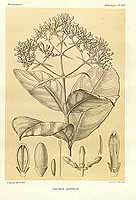  no thumbnail available