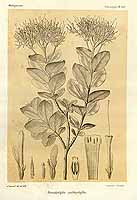  no thumbnail available