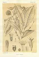  no thumbnail available