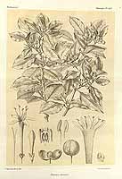  no thumbnail available