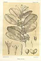  no thumbnail available