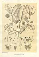  no thumbnail available