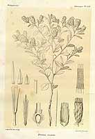  no thumbnail available