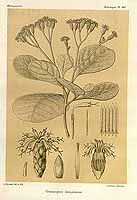  no thumbnail available