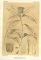  no thumbnail available