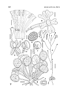  no thumbnail available