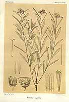  no thumbnail available