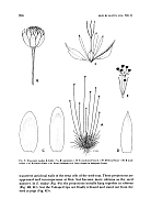  no thumbnail available