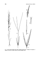  no thumbnail available