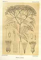  no thumbnail available